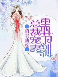 《萌宝助攻：总裁宠妻需节制》许沐恩秦桦小说在线阅读