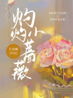 灼灼小蔷薇小说全文免费阅读 鹿欢傅臻章节目录精彩章节