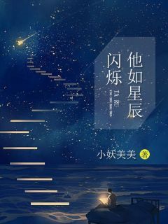《他如星辰闪烁》精彩章节列表在线试读 杨暖齐琰小说