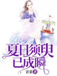 《夏日须臾已成瞬》小说大结局在线试读 杨洛李鑫伟小说阅读