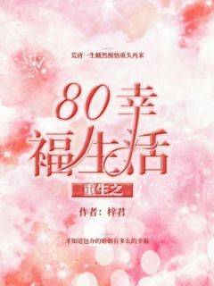 《重生之80幸福生活》小说全文精彩章节免费试读（何婉清高亚军）