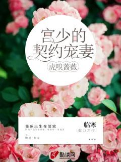 小说虎嗅蔷薇：宫少的契约宠妻全本阅读