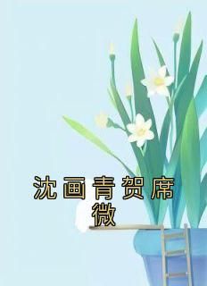 《沈画青贺席微》小说章节目录免费阅读 沈画青贺席微小说全文