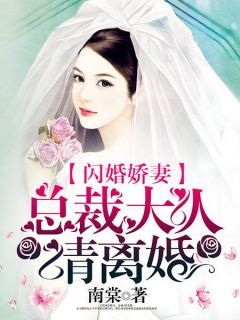 (无弹窗)小说闪婚娇妻：总裁大人请离婚 作者南棠