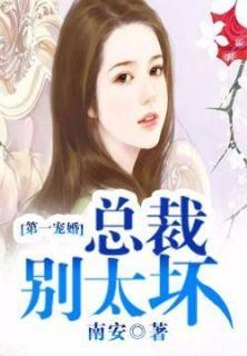《第一宠婚：总裁别太坏》小说完结版精彩阅读 夏子夕穆少天小说阅读